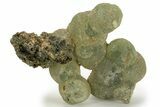 Botryoidal Prehnite and Epidote - Mali #220460-1